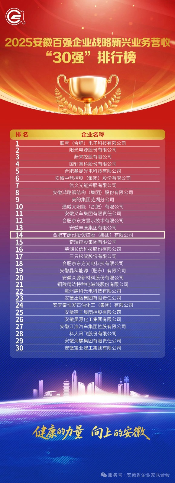 3.2025安徽百强企业战略新兴业务营收30强